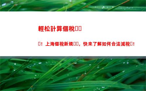 個人所得稅綜合所得稅項目(個人所得稅經營所得和綜合所得稅)